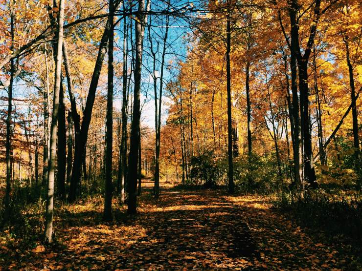 6C03D7B4-F352-4543-821A-84D8690F8D24