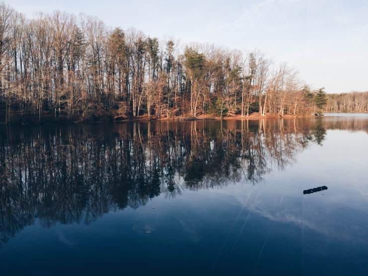 7808CBE3-4223-476B-9AEC-4792EB95CA7D