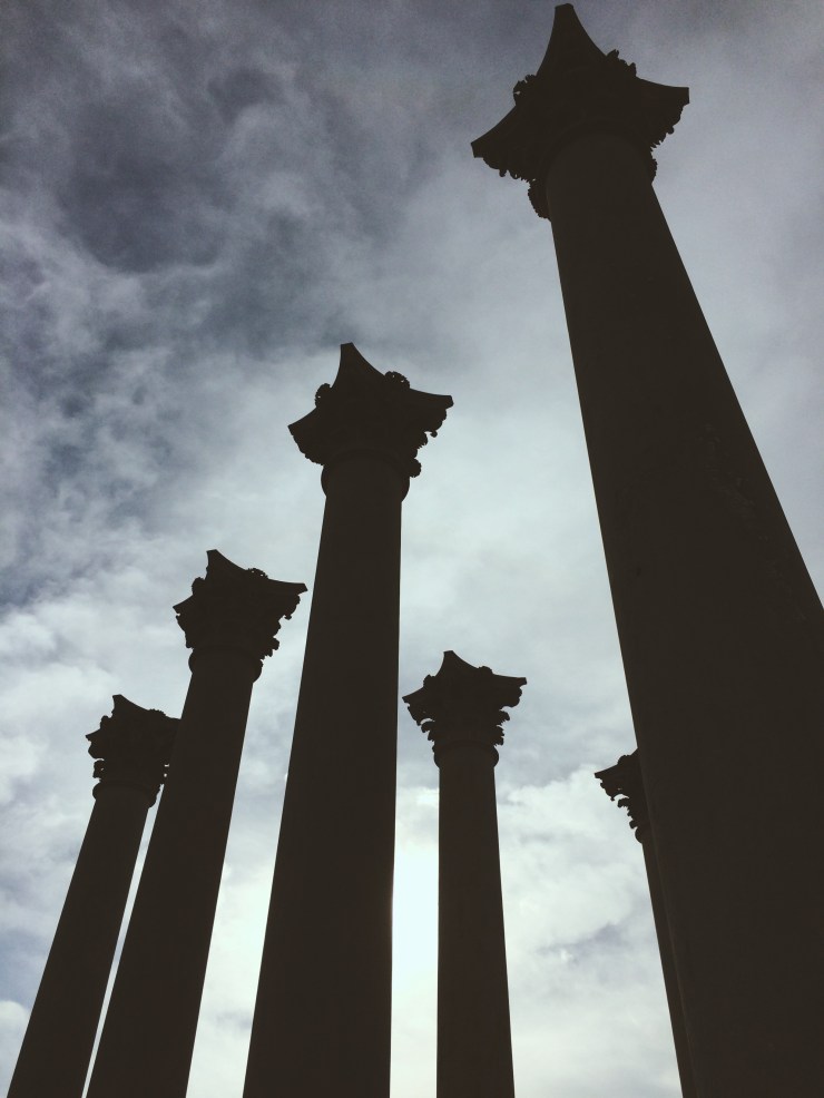 Processed with VSCOcam with m3 preset