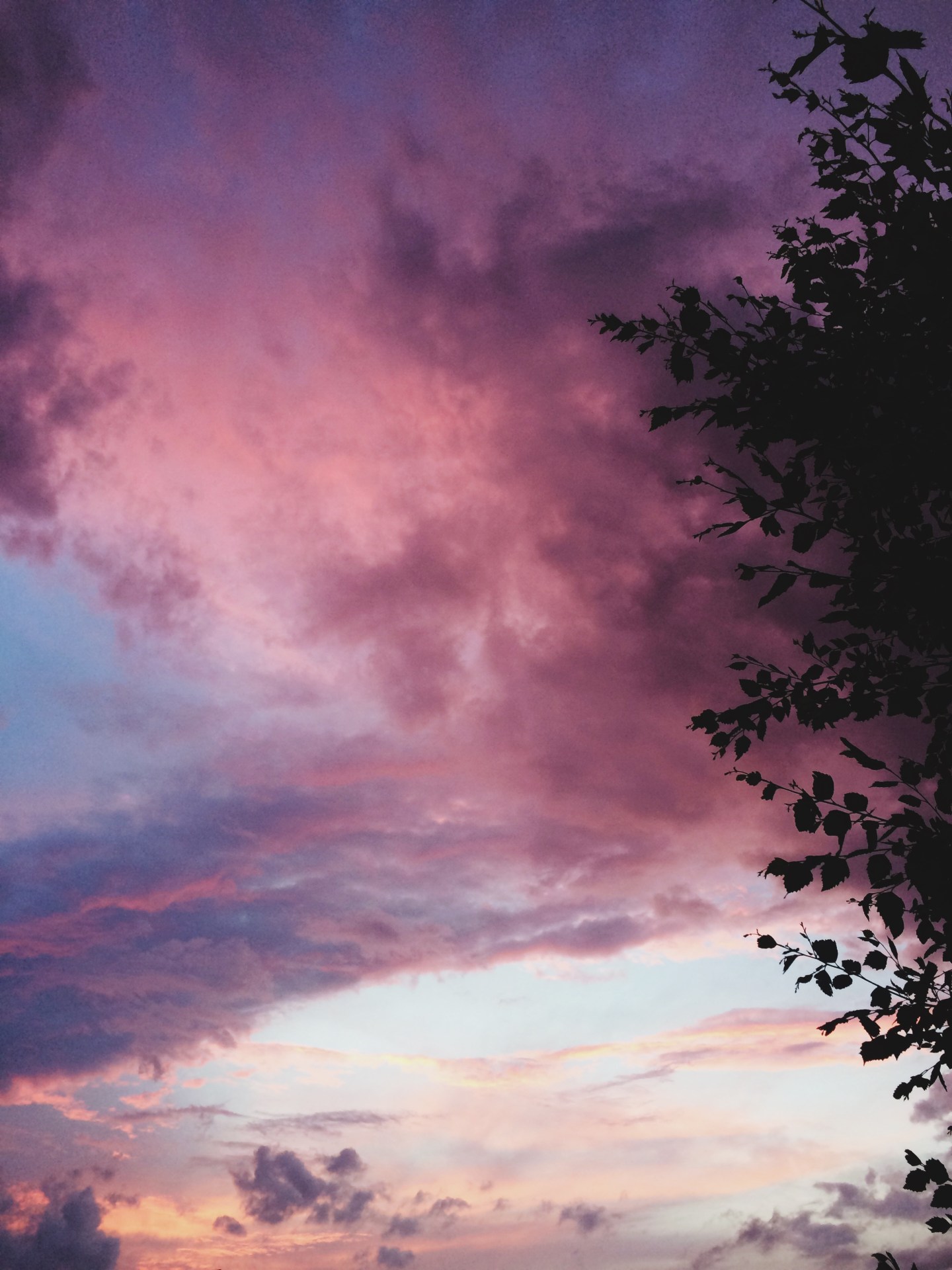 Eyes On You Photography | MartaGirdwood.com