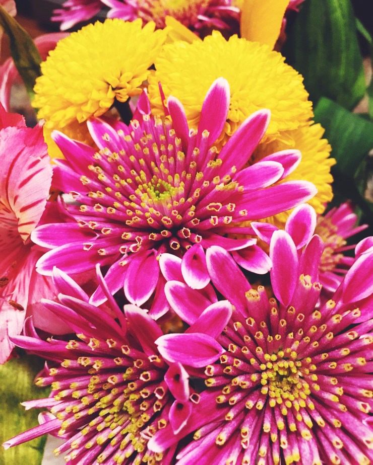 Processed with VSCO with f2 preset