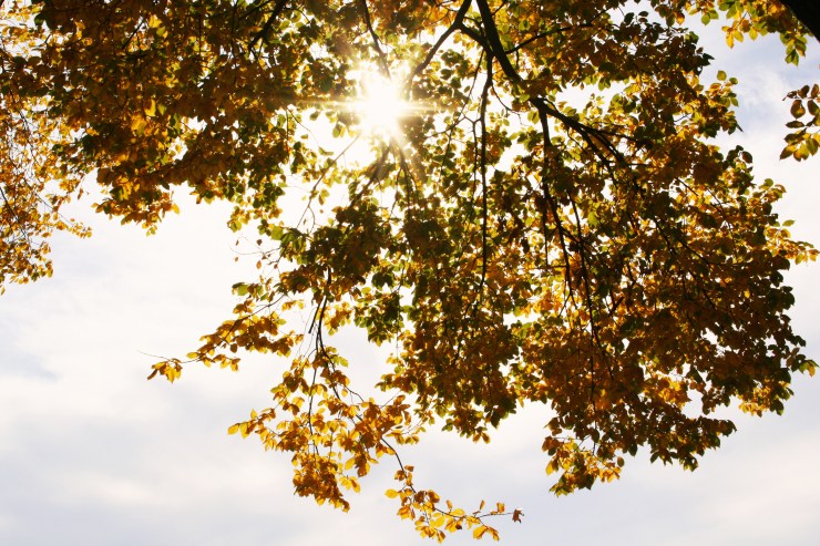 Eyes On You Photography - Martagirdwood.com