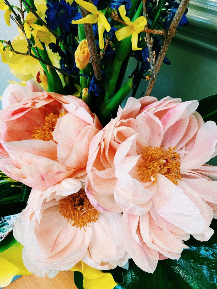 2B584D00-9A7D-4CAE-9288-E3E59BCC1F19