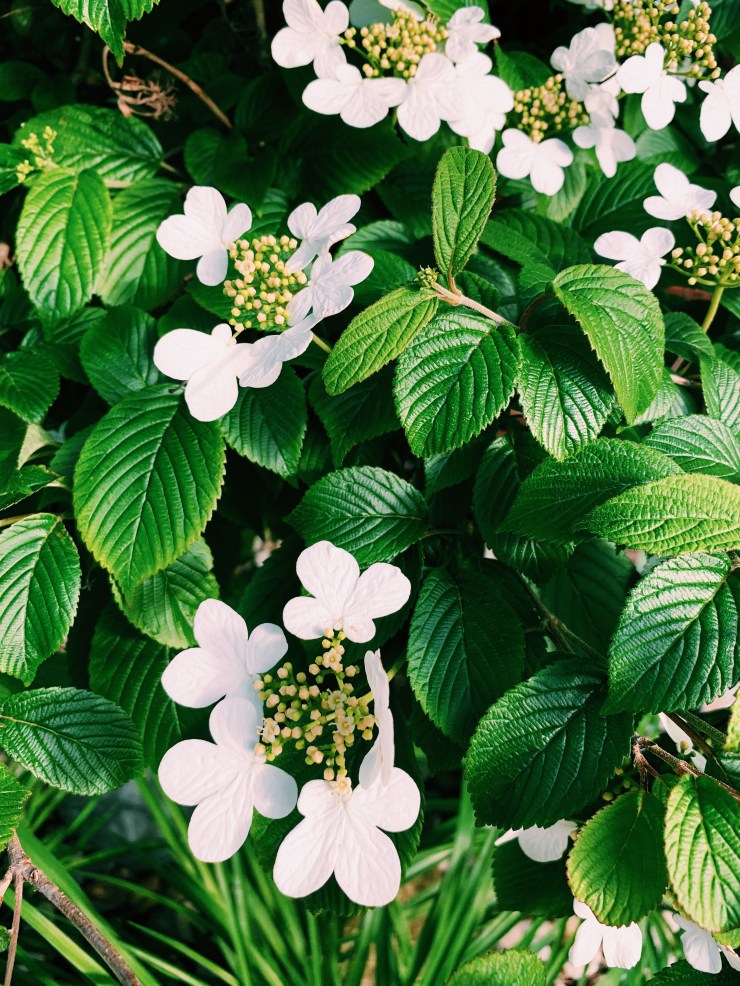 4AC0E9D7-0261-47BF-AC7A-CD2CC274EC92