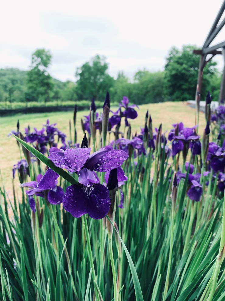 83D287D9-0229-444A-B683-EF2216F07EDA