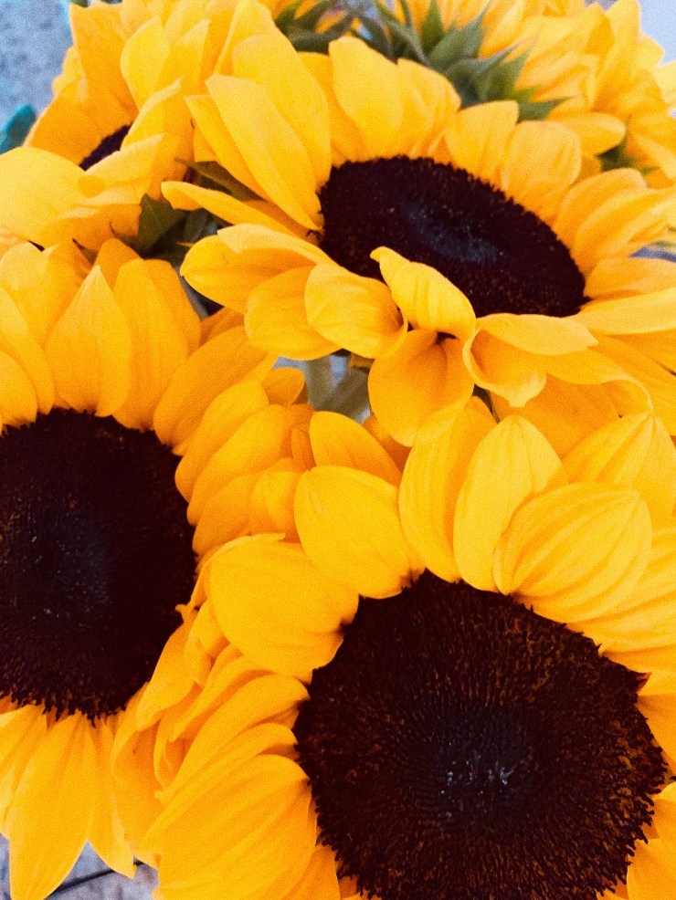 84DFE680-8591-49A1-9F06-F511D969ECB7